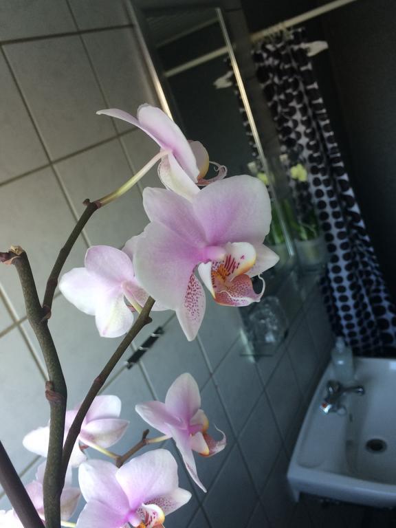 Hotel Ribe Ngoại thất bức ảnh